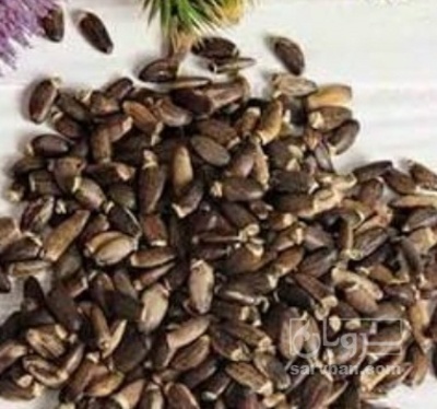 فروش خار مریم (گیاه‌ دارویی)