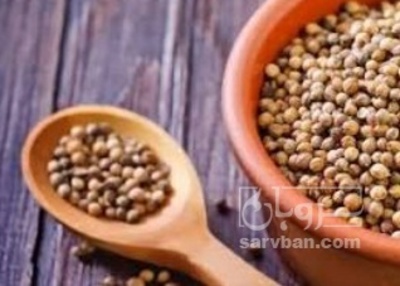فروش تخم گشنیز  توپی(گیاه‌ دارویی)