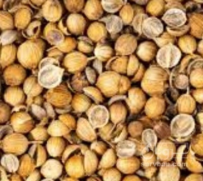 فروش تخم گشنیز (گیاه‌ دارویی)