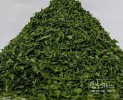 فروش گشنیز خشک