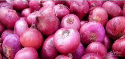فروش پیاز