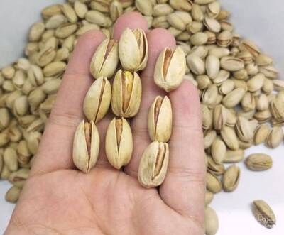 فروش پسته