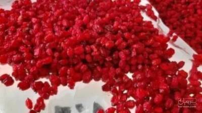 فروش زرشک
