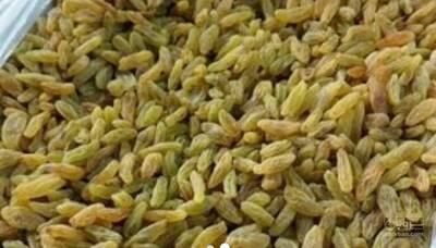 فروش کشمش