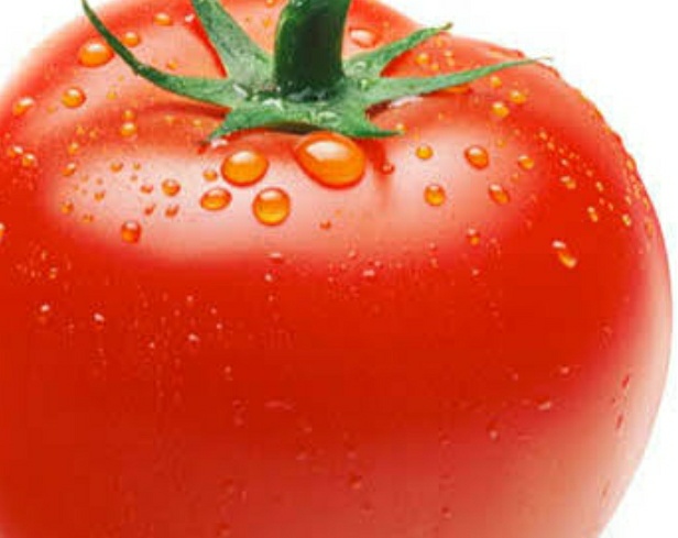 فروش گوجه فرنگی