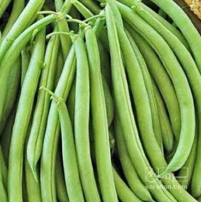 فروش لوبیا سبز