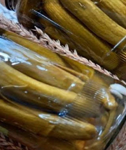فروش خیار شور ممتاز