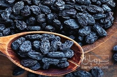 فروش مویز
