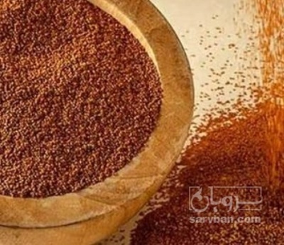فروش خاکشیر (گیاه‌ دارویی)