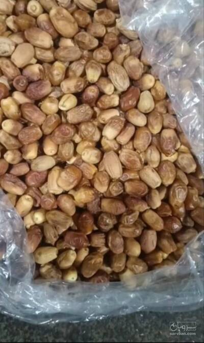فروش خرما زاهدی