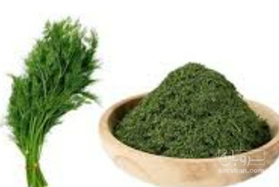 فروش شوید خشک (گیاه‌ دارویی)