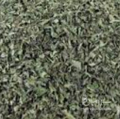 فروش نعناع خشک (گیاه‌ دارویی)