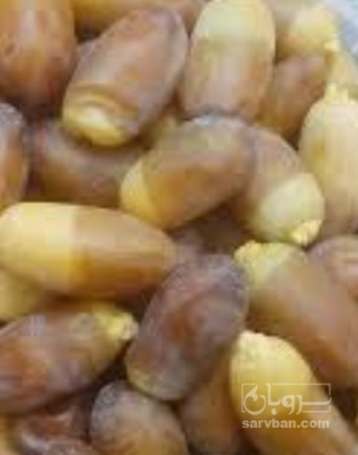 فروش رطب
