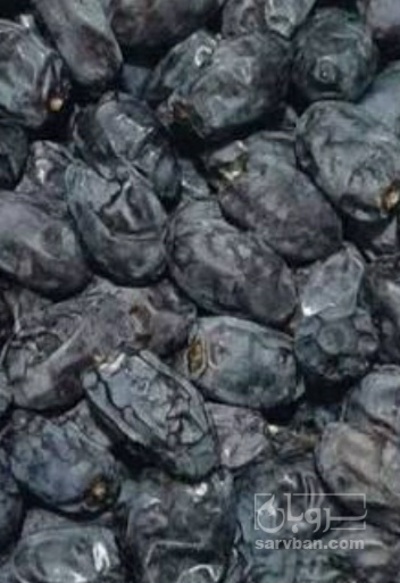 فروش خرما کبکاب