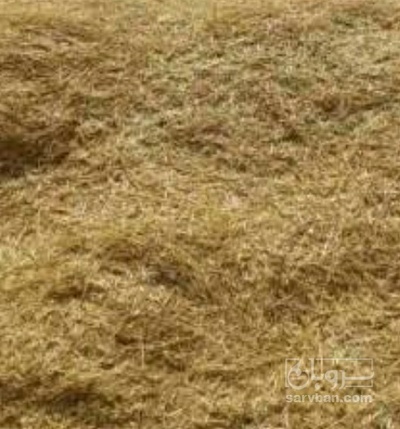 فروش کاه و کلش گندم