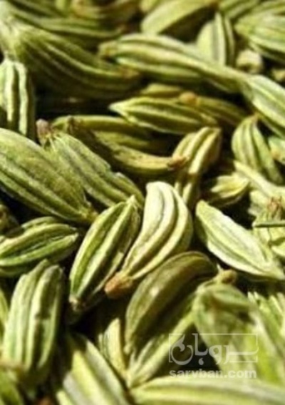 فروش زیره (گیاه‌ دارویی)