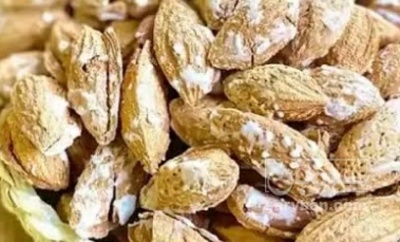 فروش بادام کاغذی