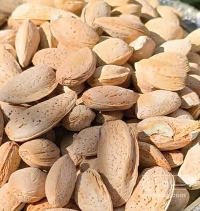 فروش بادام سنگی