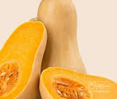 فروش کدو حلوایی
