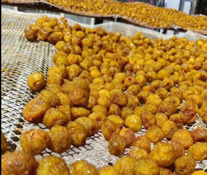 فروش آلو بخارا