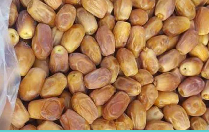 فروش خرما