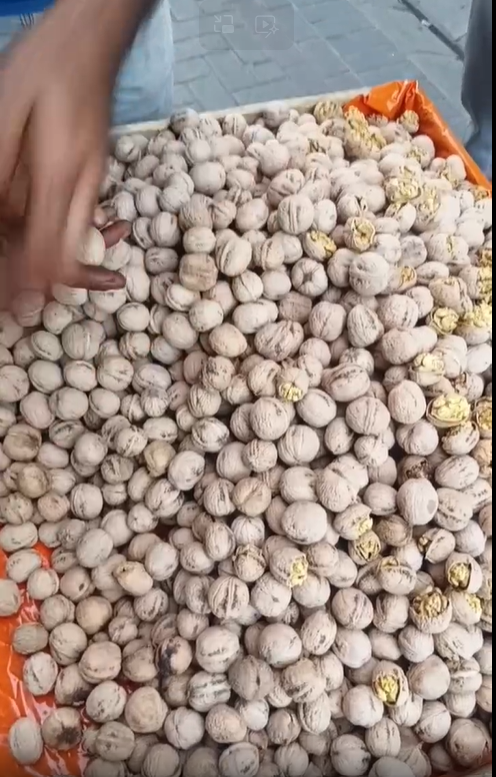 فروش گردو