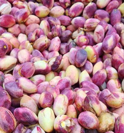فروش پسته