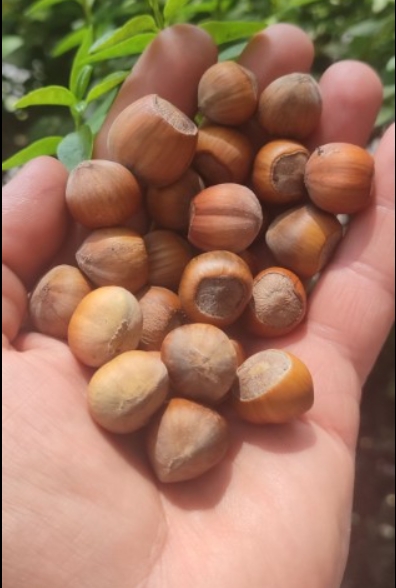 فروش فندق