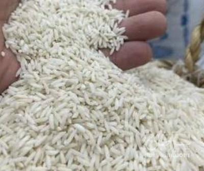 فروش برنج مختار هاشمی