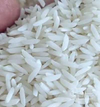 فروش برنج طارم