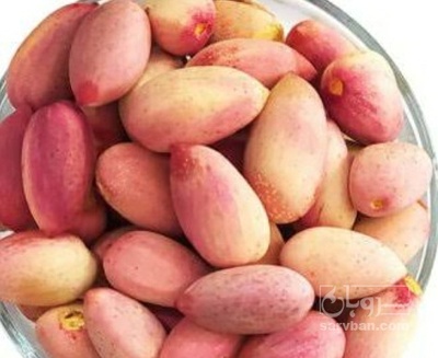 فروش پسته تازه خانی