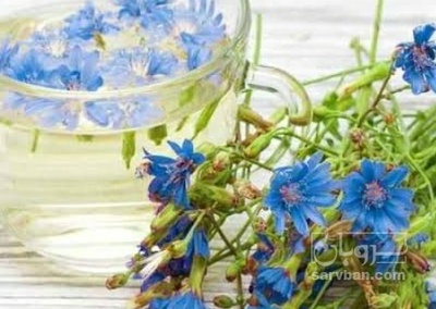 فروش عرق کاسنی