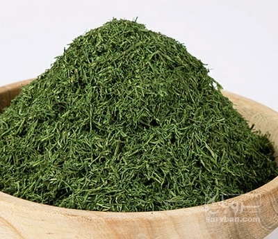 فروش شوید خشک (گیاه‌ دارویی)