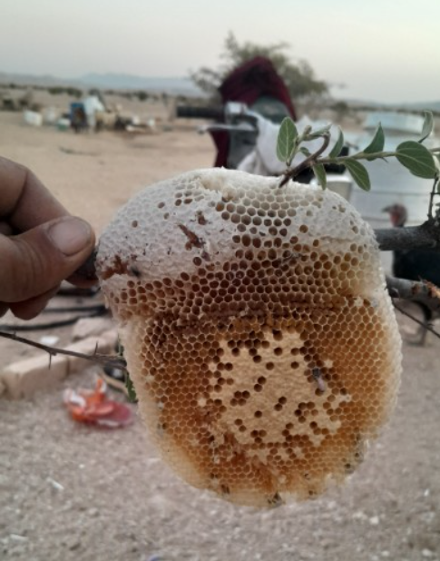 فروش عسل