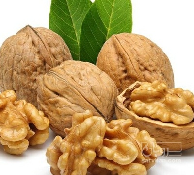 فروش گردو