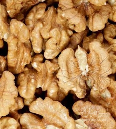 فروش گردو مغز