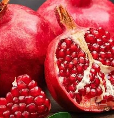 فروش انار