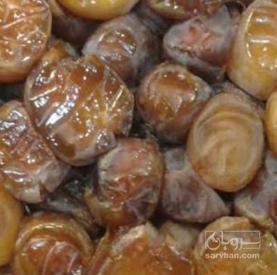 فروش رطب برحی