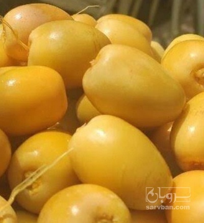فروش خرما خارک