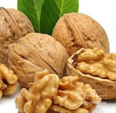 فروش گردو
