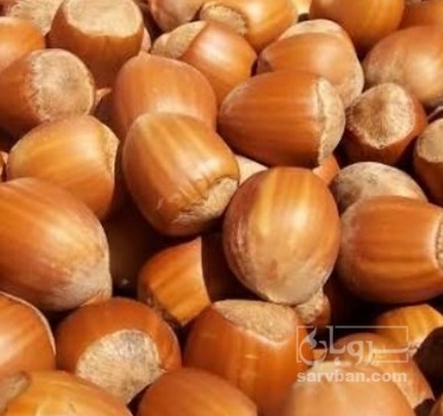 فروش فندق