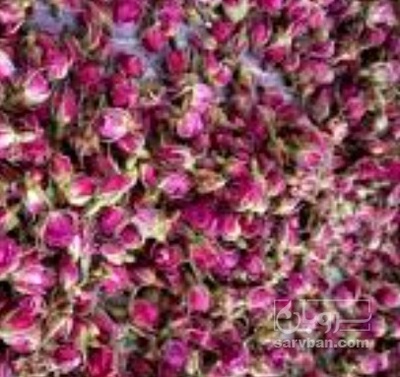 فروش غنچه گل محمدی (گیاه‌ دارویی)
