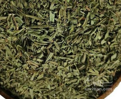 فروش ترخون (گیاه‌ دارویی)