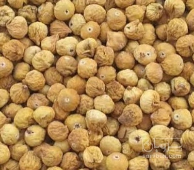 فروش انجیر خشک
