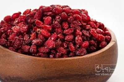 فروش زرشک