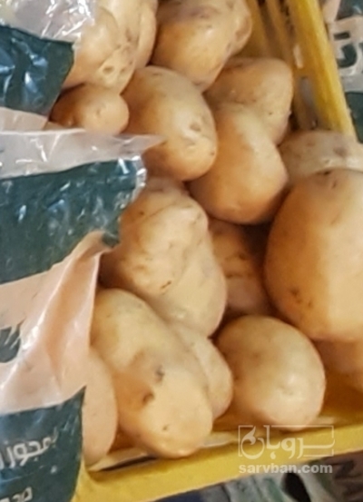 فروش سیب زمینی شسته شده