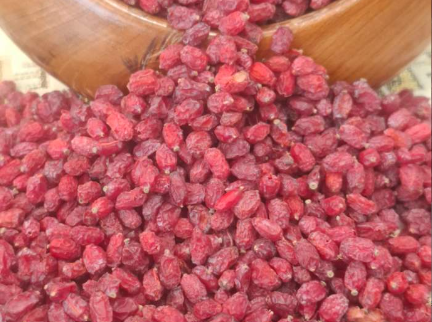 فروش زرشک