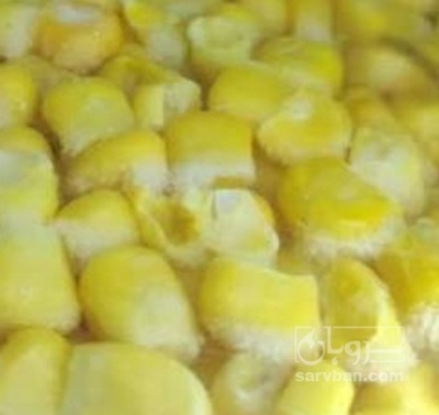 فروش ذرت