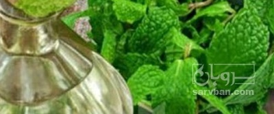 فروش عرق نعناع