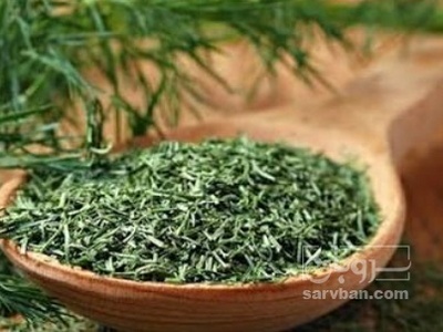 فروش شوید خشک (گیاه‌ دارویی)